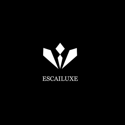 Modern Logo Design for a Premium Brand Identity brand identity branding creative creative logo graphic design logo professional logo visual identity