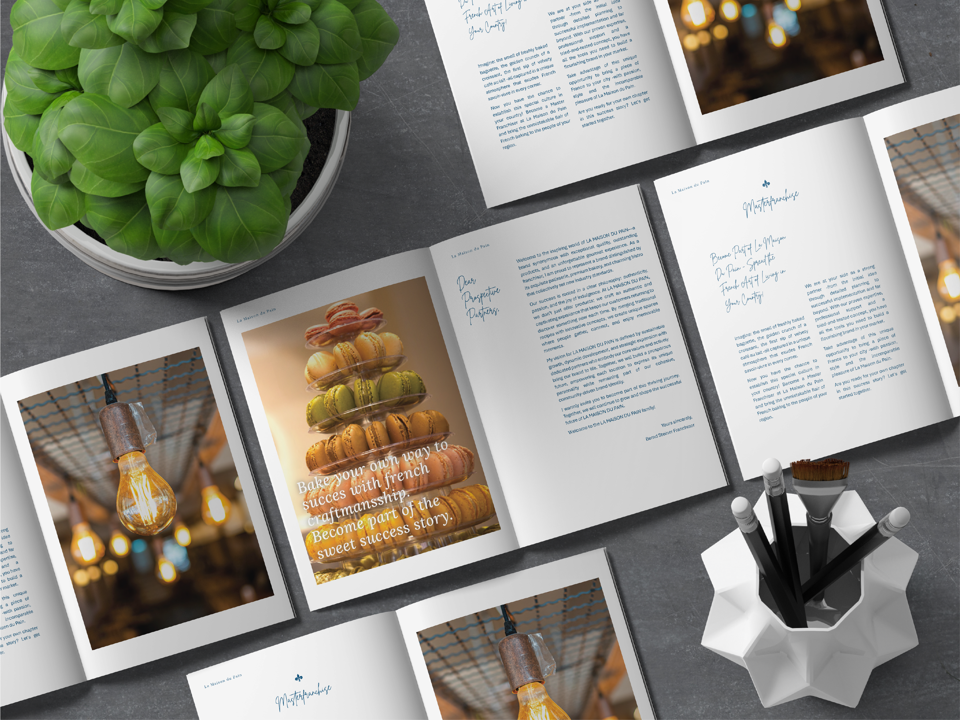 Example of Premium Custom Catalog / Lookbook Design