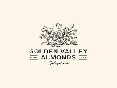 Almonds almond almonds blossms branch branding brend identity drawing graphic design hand drawn illustration leaf logo nature organic tradition tree vintage
