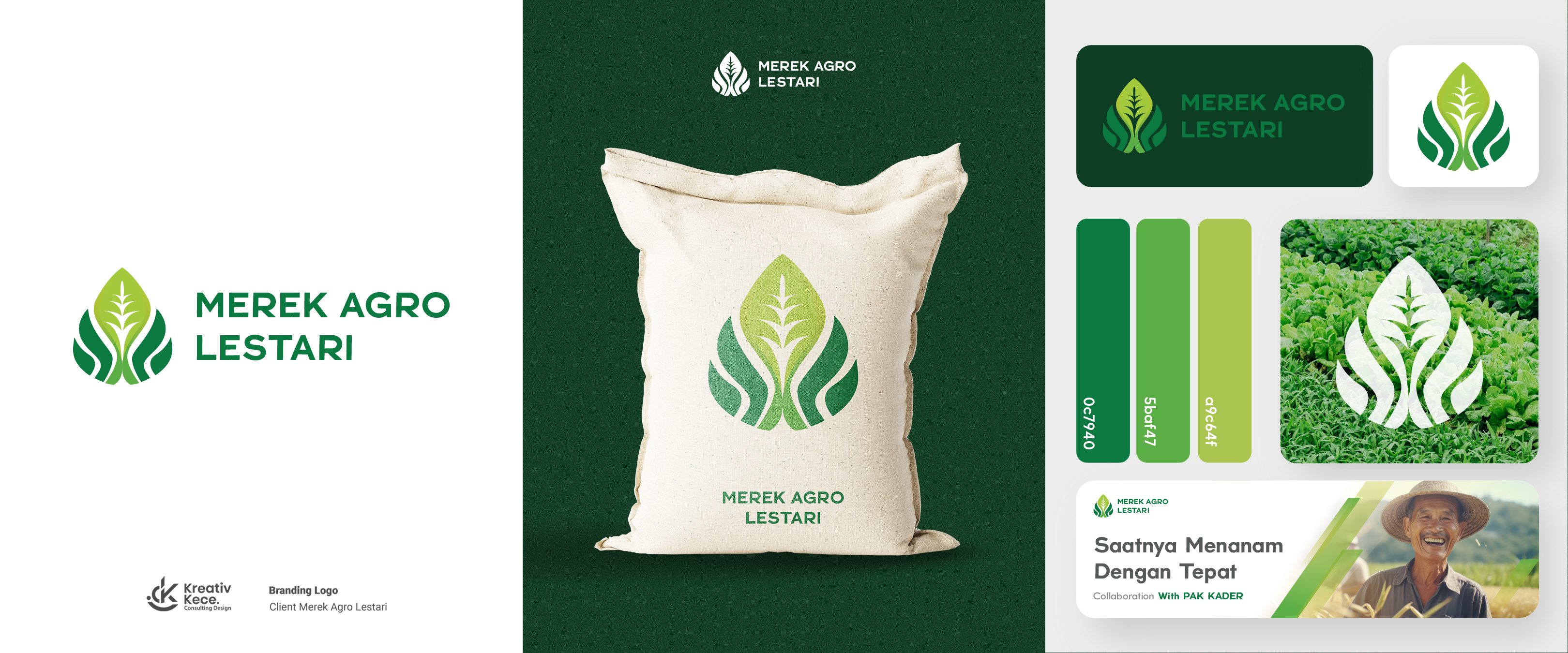 Example of Brand Visual Identity