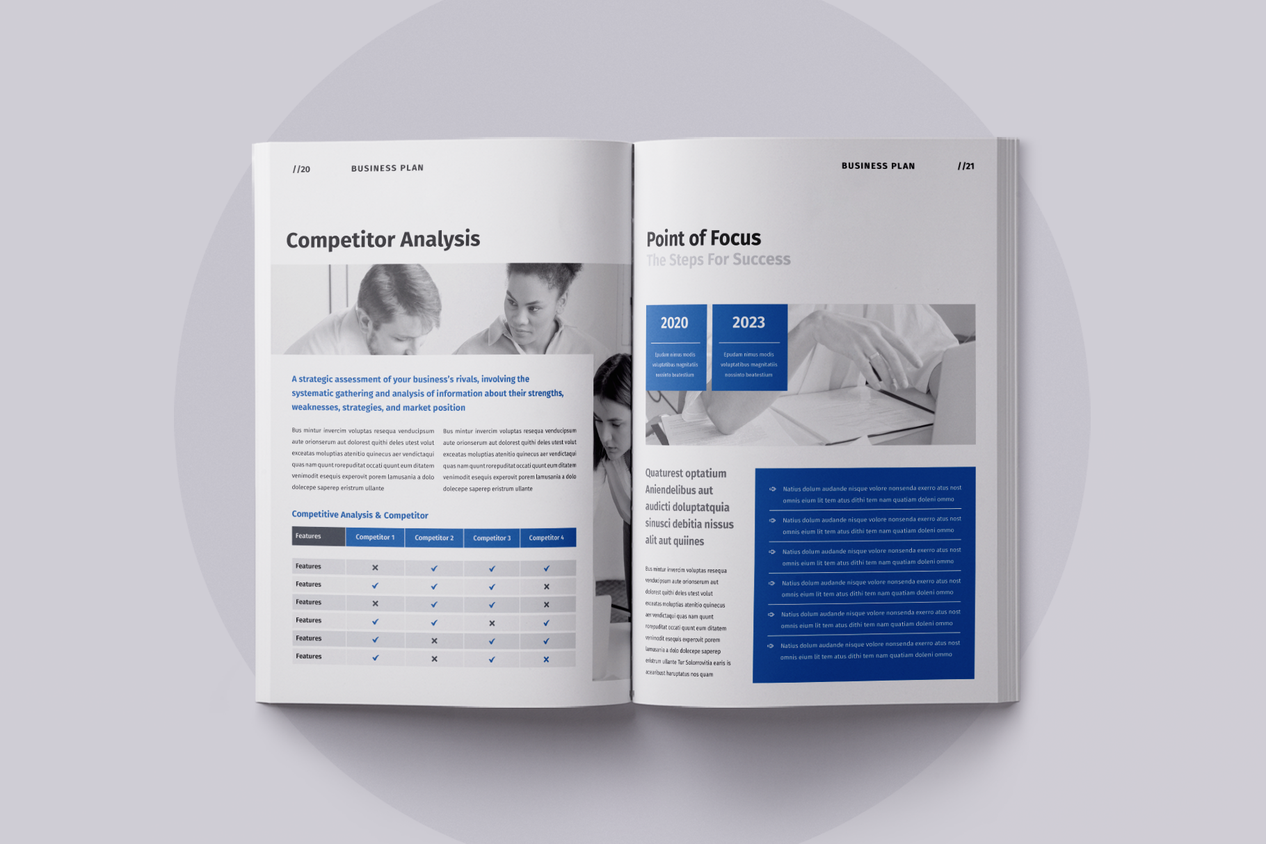 Example of Business Plan Template