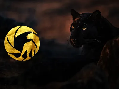 wildlife photography logo animal logo clean logo minimalist logo minimalist wildlife logo modern logo nature logo photography logo wild animal logo wildlife logo wildlife photography