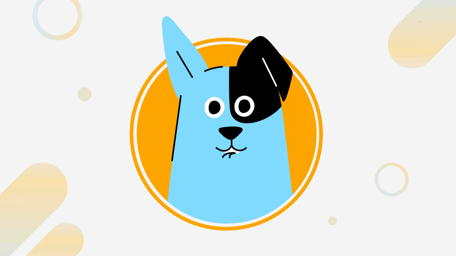 Meet Fifi — our playful host at Lisboa.Pet! animal animated dog animation animation studio bird cat character animation character illustration dog explainer animation explainer video illustration motion graphics mouth sync animation pet pet adoption pet lovers playful animation rabbit ui