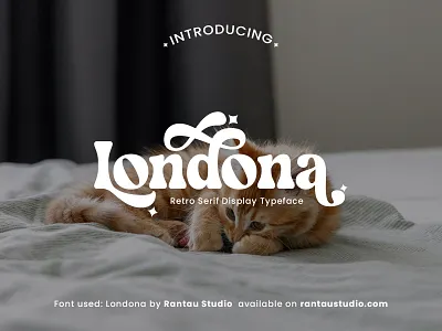 Londona – Where Vintage Meets Bold Personality aestheticfonts boldserif brandingtypography creativefonts displaytypeface fontlovers fontoftheday graphicdesignassets kawaiidesign kittenvibes londonafont rantaustudio retrofont typographyinspo vintagetypography