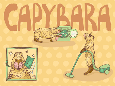 Household Chores hand drawn capybara illustrations animal branding capybara clean the window clipart design do the laundry fat hamster hand drawn household chores illustration playful sketch vacuuming vector wild