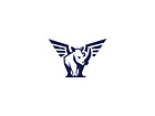 Example of Shot