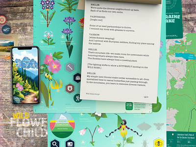 Nellie the Wild Rose botany canadian rockies conservation creative direction design hike with rich illustration map making rawlyk rawlyk art rawlyk design rawlyk storyteller rich rawlyk scripts thewayfindercompany trail time wild flower child wild flowers