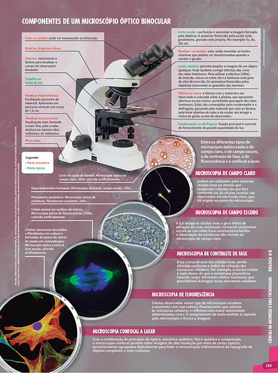 Microscópio biology graphic design infographics microscope