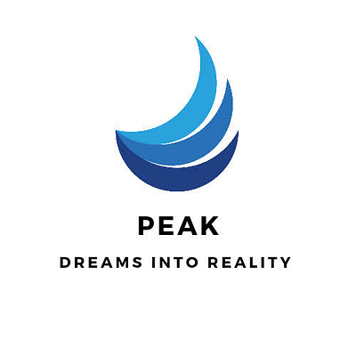 Peak - Dreams Into Reality design graphic design logo vector