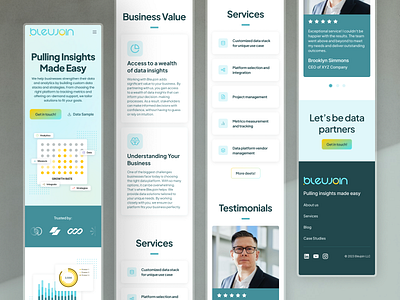 Bleujoin - Data & Analytics Consulting Company Mobile Website user interface