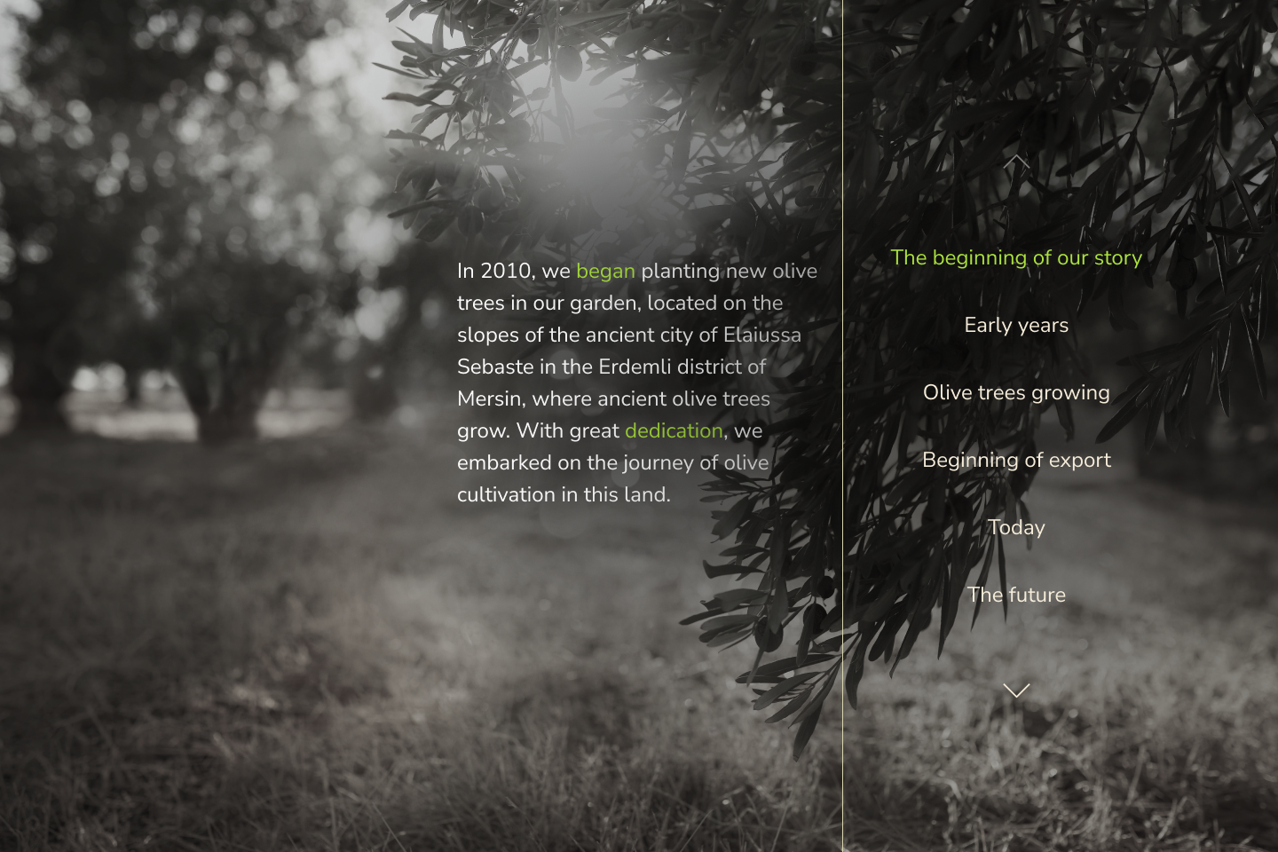 Timeline of Growth animation art branding design figma graphic design motion design story timeline ui visualstorytelling web web design