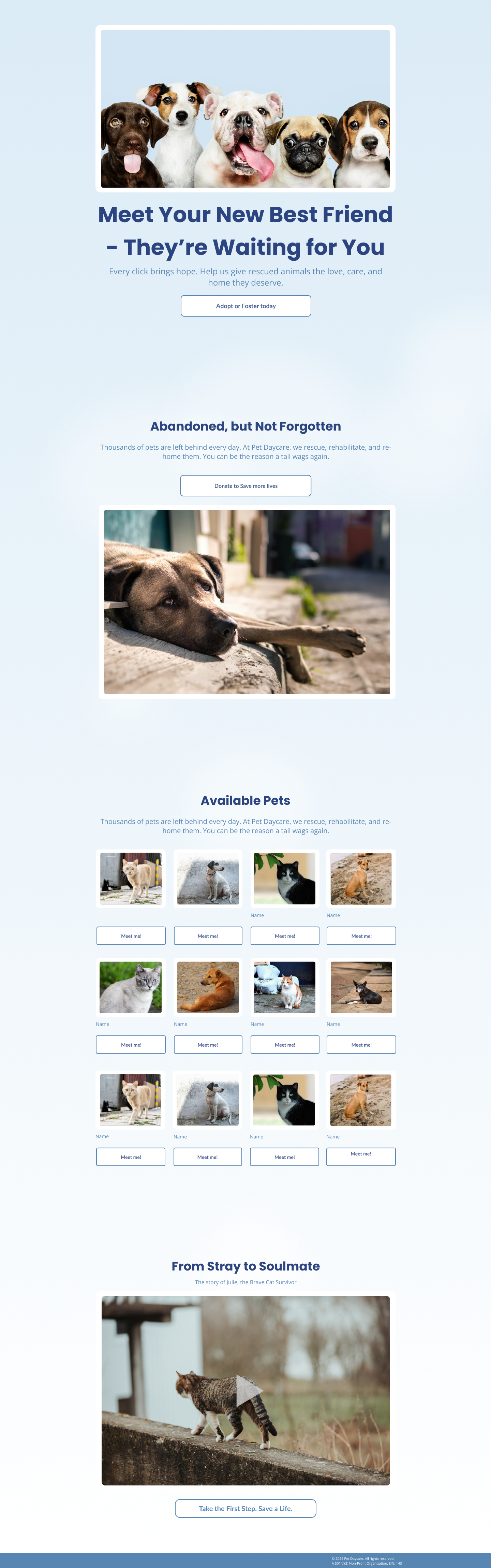 Example of Simple Funnel Design for Animal Shelter
