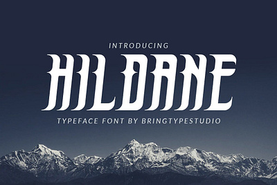 HILDANE Font adventure font bold font displat font display font fonts hildane font
