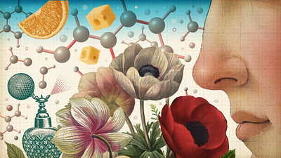 Michael Waraksa for Quanta magazine conceptual illustration editorial illustration illustration illustrationart illustrationartist illustrationzone illustrator odor science