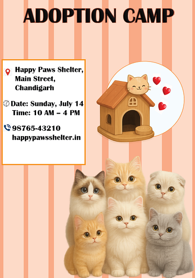Cat Adoption Camp Poster animal cat poster cats design graphic design logo poster