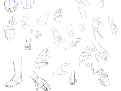 Hand Anatomy Study | sketches