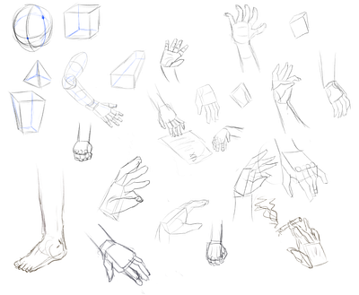 Hand Anatomy Study | sketches