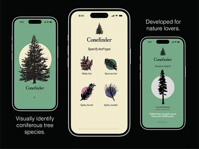 Conefinder App - Identify Tree Species akshay app climate dinakar illustration nature species tree uiux