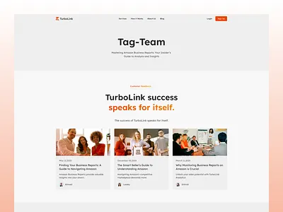 TurboLink-Tag-Team Digital Marketing Website Design app branding design graphic design illustration logo typography ui ux vector