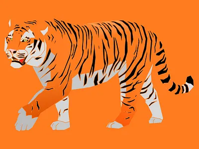 Tigre figma illustration inkscape tiger tigre