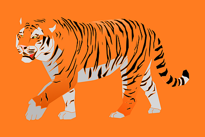Tigre figma illustration inkscape tiger tigre