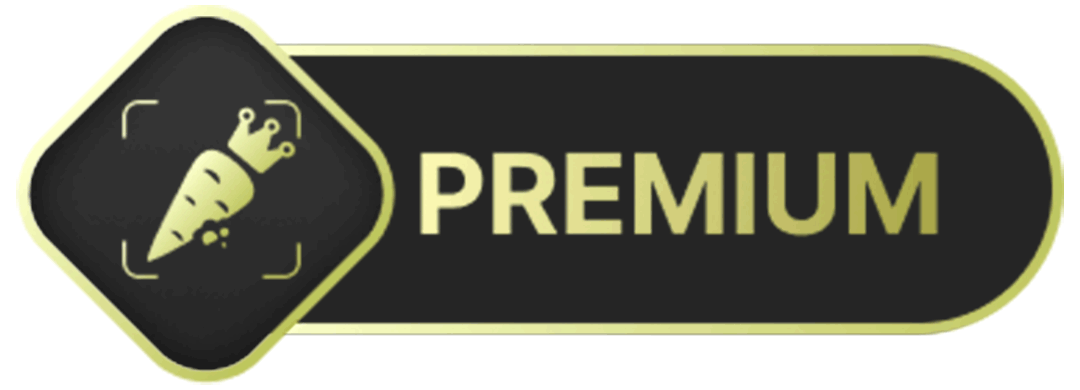 Premium Tag Animation Design animation branding graphic design logo motion graphics ui