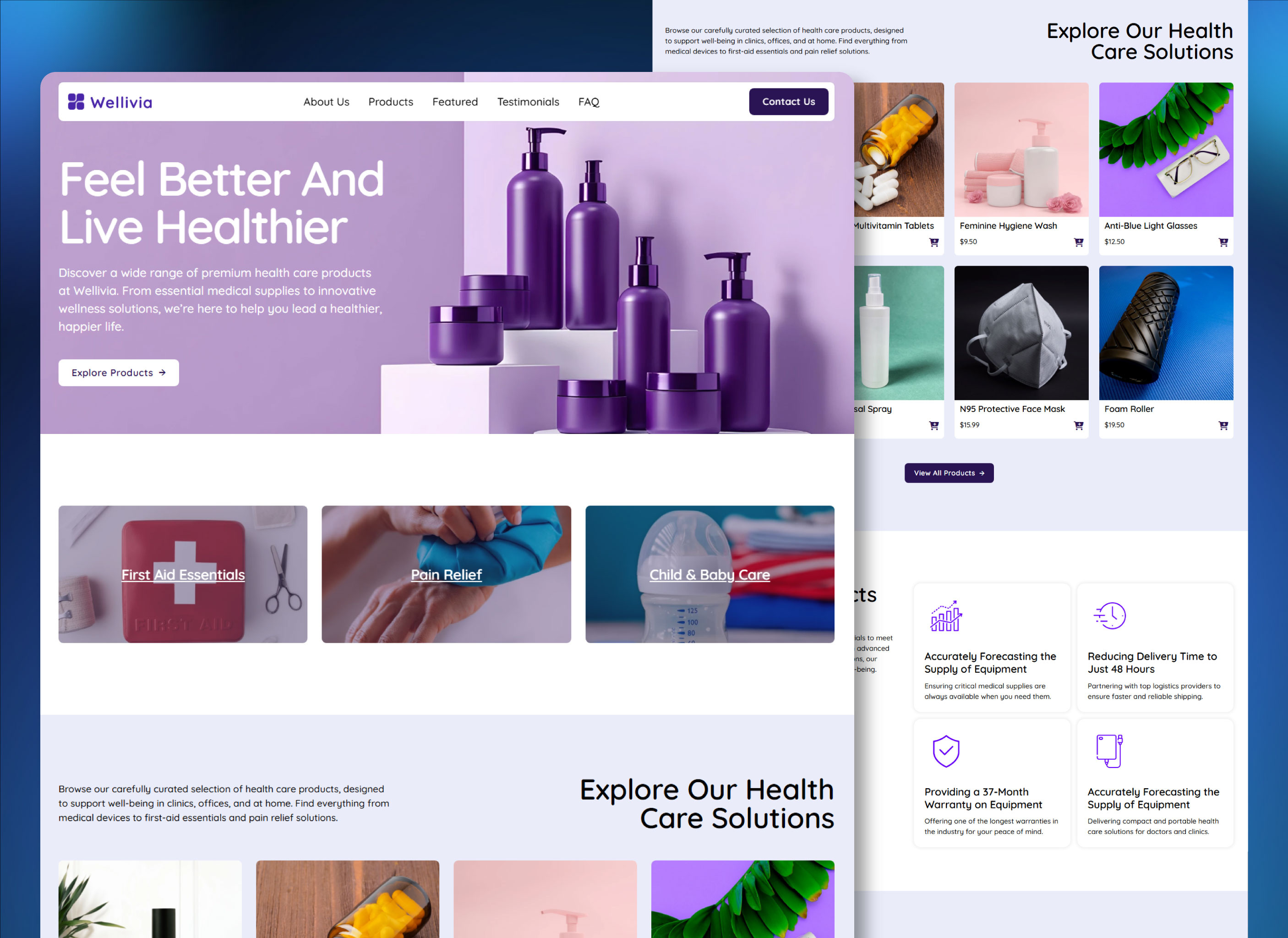 Example of Ecommerce Wordpress Website Design