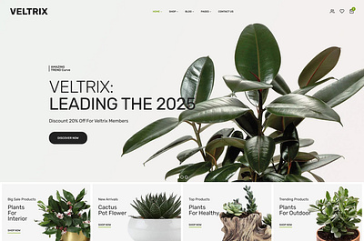 Plant and Flower Shop applications concept figma uiux e commerce concept figma uiux figma uiux uiux webpage