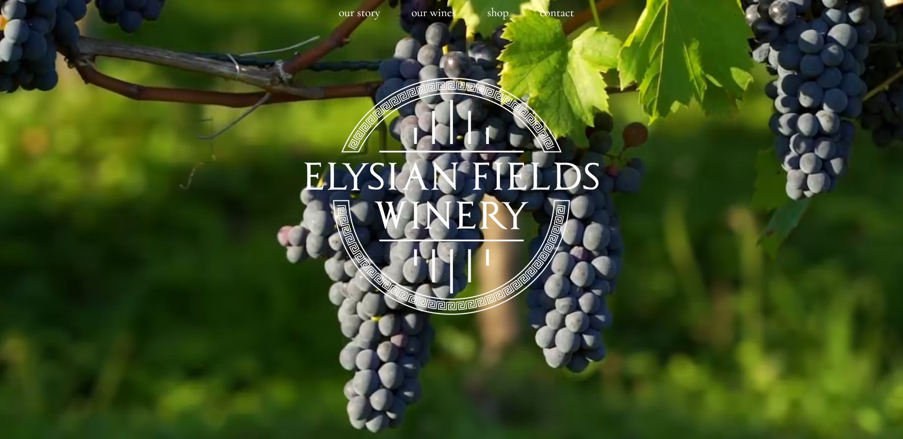 Elysian Fields Winery: Website Design, Branding, Graphic Design