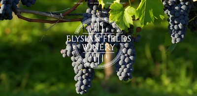 Elysian Fields Winery: Website Design, Branding, Graphic Design branding design ecommerce graphic design logo reel social media story web web design wordpress