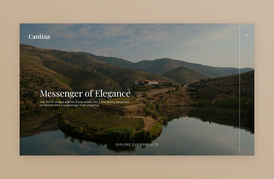 Cantina Vinery Branding branding design typography ui ux