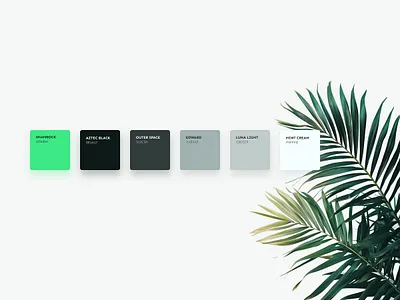 BeNovi - Wellness Brand Color Palette brand brand guide branding color color palette guide health palette wellness