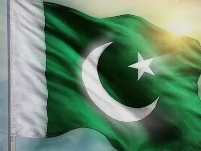 Editor Reels animation editing editor graphic design motion graphics reel reels short