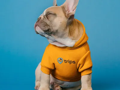 Trips Pet Hoodie apparel art direction branding graphic design hoodie iconography icons illustration logo pet hoodie pet logo pet travel swag