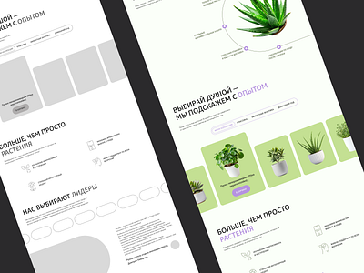 Natural plant store concept | Landing page concept design ecommerce landingpage ui