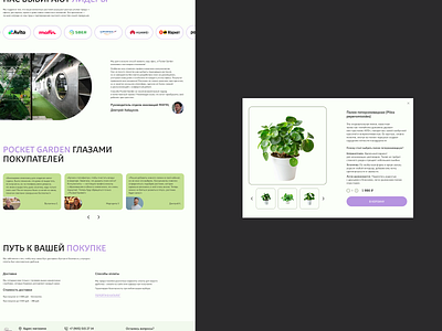 Indoor plant store design | Landing page concept design ecommerce landingpage ui