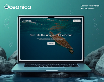 Oceanica | Website Design | Ocean Exploration Service | UI UX 3d animation branding design figma flow graphic design illustration logo motion graphics ui uiux ux vector