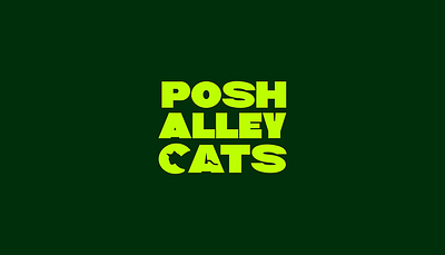 Posh Alley Cats - Streetwear | Brand Identity brand guidelines brand identity branding graphic design