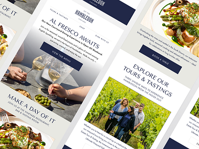 HAMBLEDON VINYARD | Campaign Design brand identity brand storytelling email campaign email design email templates luxury marketing winery winery branding