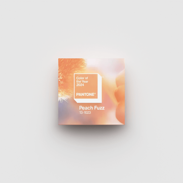 Fuzz 2d animatedgif animation branding color gif graphic design loop motion graphics motiongraphics pantone renatorena