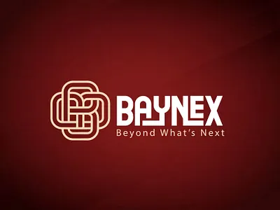 Branding For Clothing Brand - Baynex brand identity branding clothing brand freelancer logo