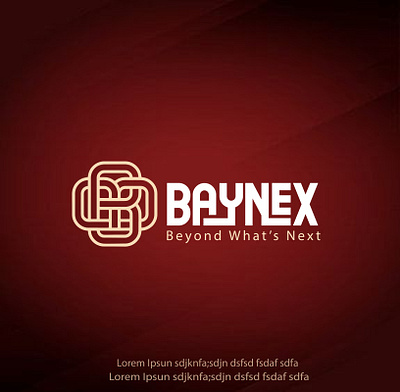 Branding For Clothing Brand - Baynex brand identity branding clothing brand freelancer logo