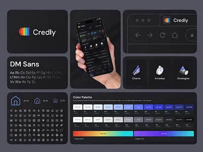 Fintech Dashboard Web design Credly website design