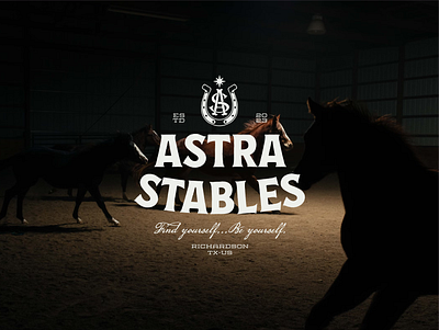 Astra Stables Master Logo brand design brand identity branding branding design equestrian hand drawn horse horses horseshoe identity design illustrator logo logo design logotype monogram star typography vintage visual identity wordmark