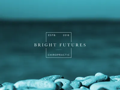 Bright Future Chiropractic brand branding creative design designer graphic design graphics illustration logo