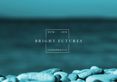 Bright Future Chiropractic brand branding creative design designer graphic design graphics illustration logo