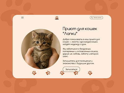 Animal Shelter Homepage Concept animal design homepage main ui ux