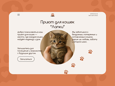 Animal Shelter Homepage Concept animal design homepage ui ux