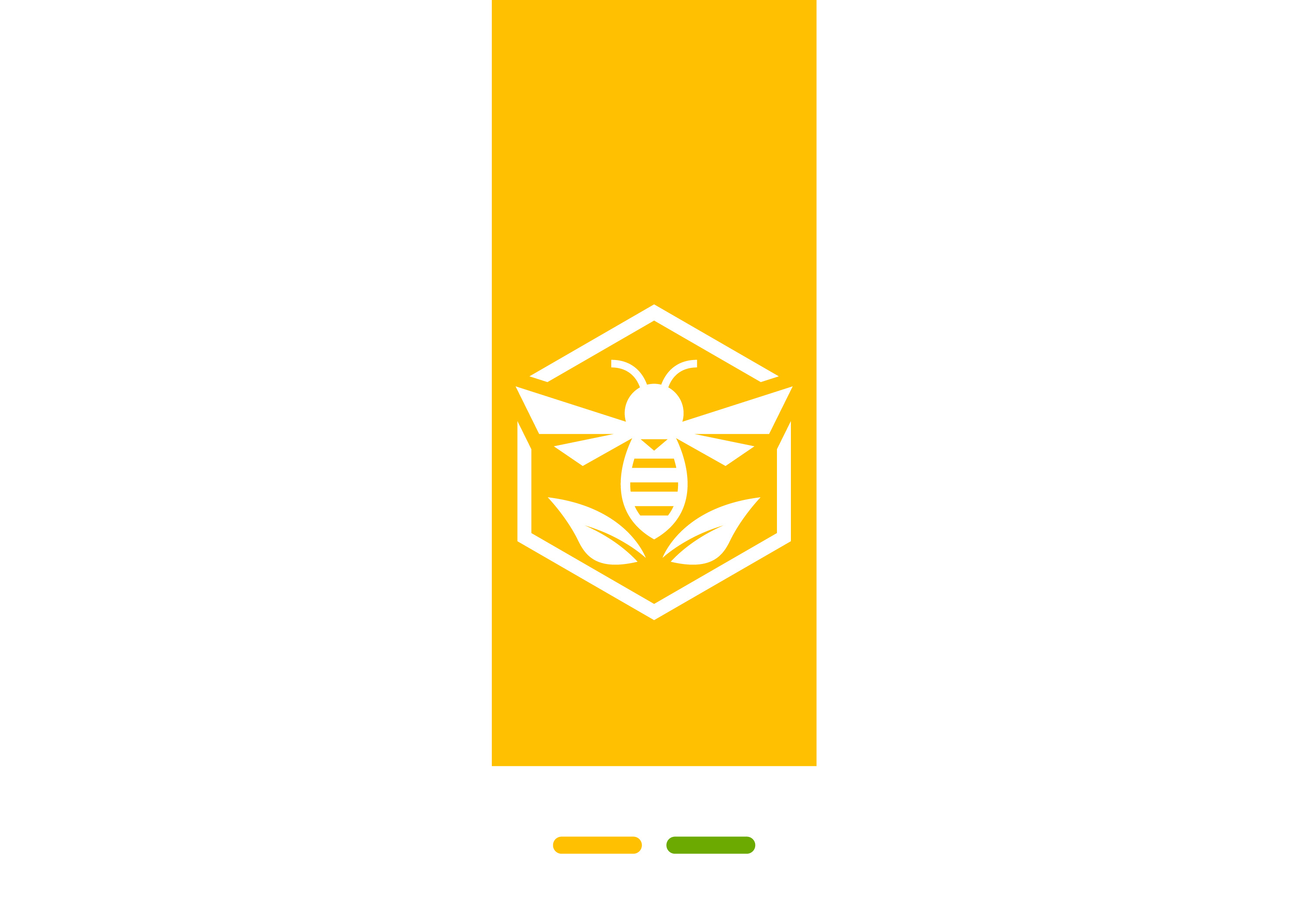 NaturaHive branding designer graphic design illustration logo vector