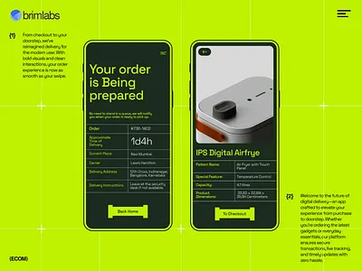 eCommerce Delivery App ui